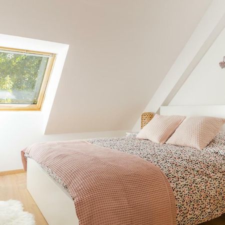 Appartement De Standing 8 Personnes Centre Historique De 科尔马 外观 照片