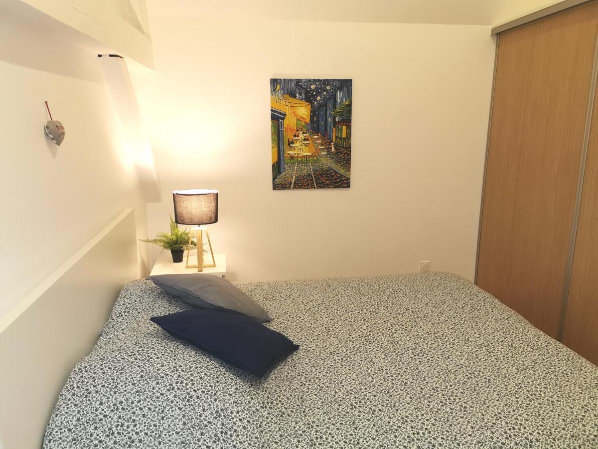 Appartement De Standing 8 Personnes Centre Historique De 科尔马 外观 照片