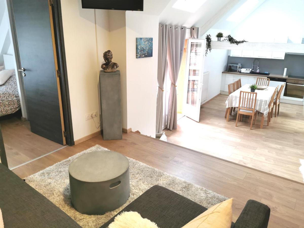 Appartement De Standing 8 Personnes Centre Historique De 科尔马 外观 照片