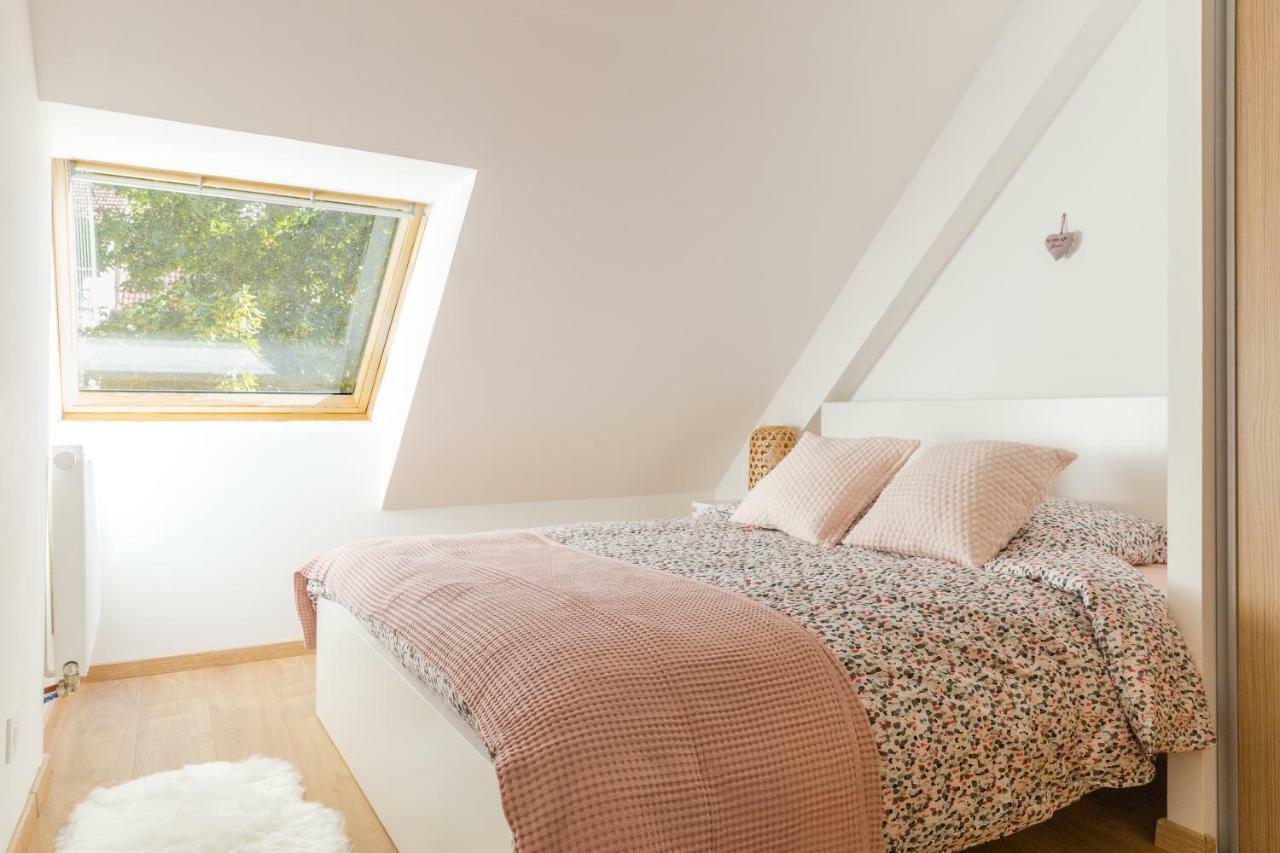 Appartement De Standing 8 Personnes Centre Historique De 科尔马 外观 照片