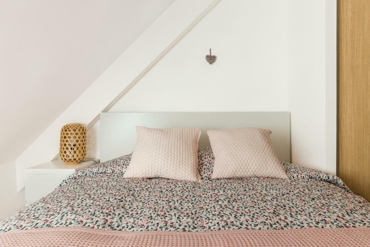Appartement De Standing 8 Personnes Centre Historique De 科尔马 外观 照片
