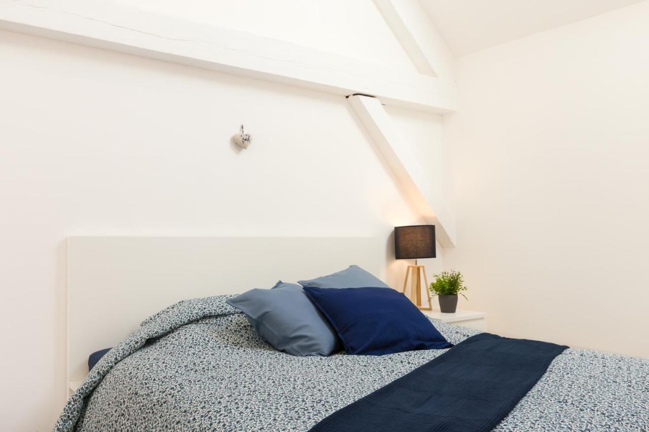 Appartement De Standing 8 Personnes Centre Historique De 科尔马 外观 照片